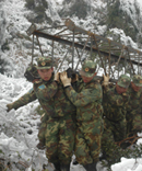 08�꿹����Ӣ��