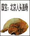 ����ʧ֮ۙ��