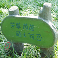 愛護花草